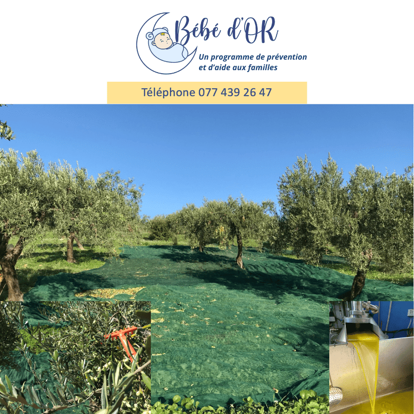 Bébé d'Or - Vente huile olive